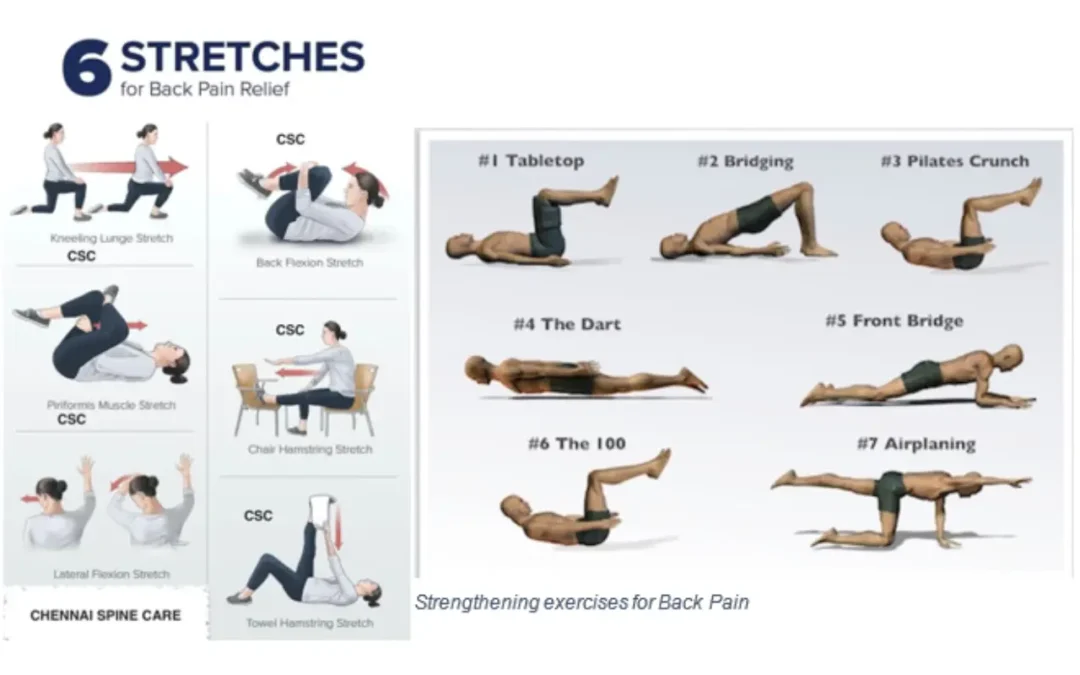Bed Rest is Harmful to your back pain