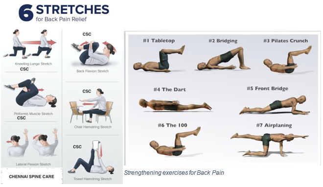 6 stretches for back pain relief