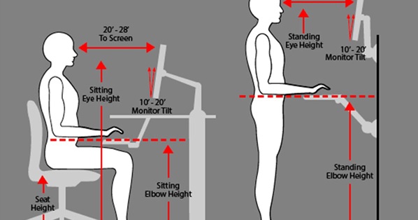 tips to avoid back pain back pain management