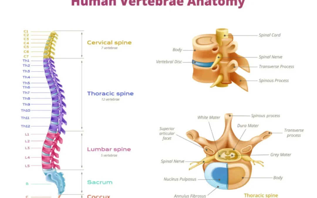 Spinal Cord Tumors Diagnosis and Treatment